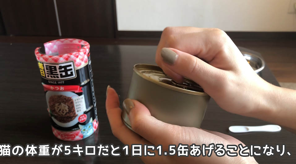 アイシア 黒缶 キャットフードレビュー - ねことぼく